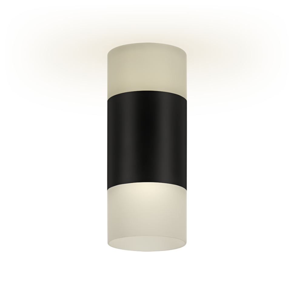 Потолочный светильник накладной RCS-65LED10W-WH ф65, COB 7W+3W, 4000K, черный/матовое, Ritter
