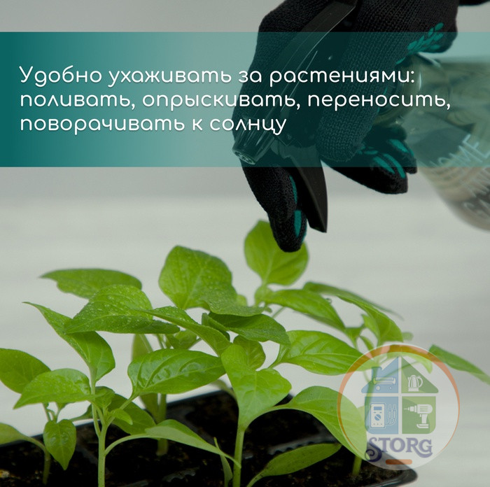 Кассета для рассады, 50 ячеек по 100 мл, пластик, чёрная, 54х27х8 см, Greengo