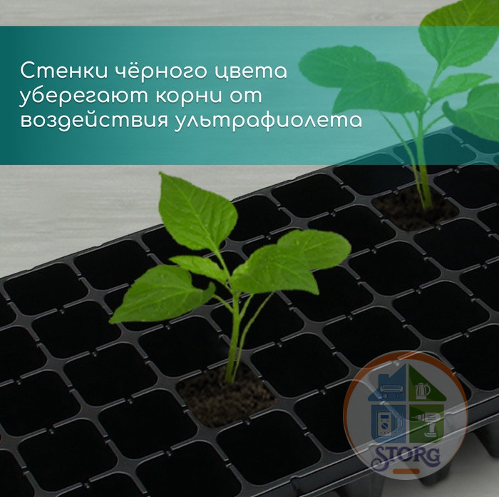 Кассета для рассады, 50 ячеек по 100 мл, пластик, чёрная, 54х27х8 см, Greengo